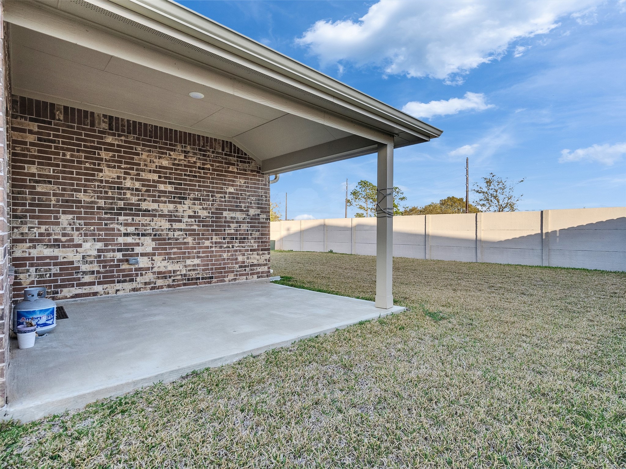 3019 Live Spgs Way Rosenberg, TX 77471 - Photo 5 of 36 a view of a backyard