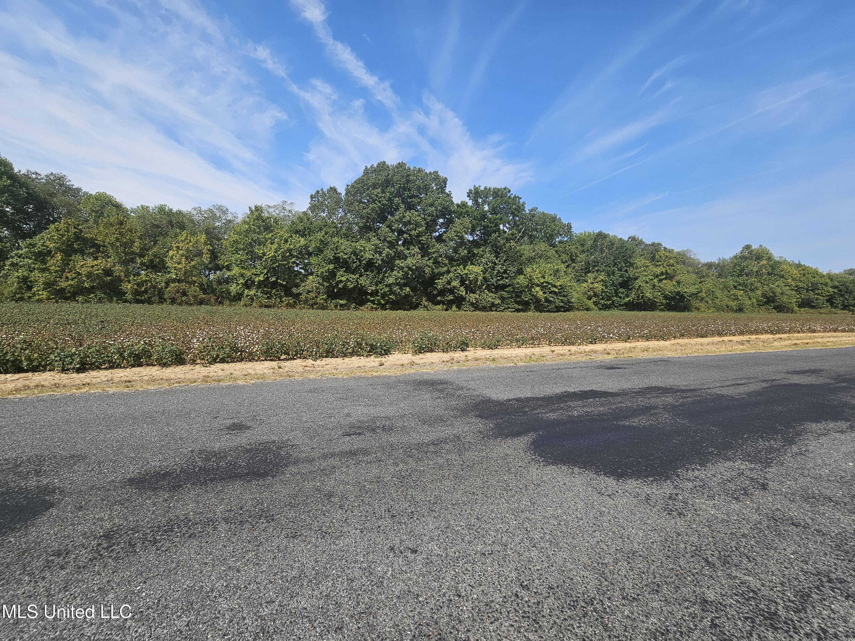 3876 Bett-Thyatira Road Coldwater, MS 38618 - Photo 33 of 72 20250915_104851