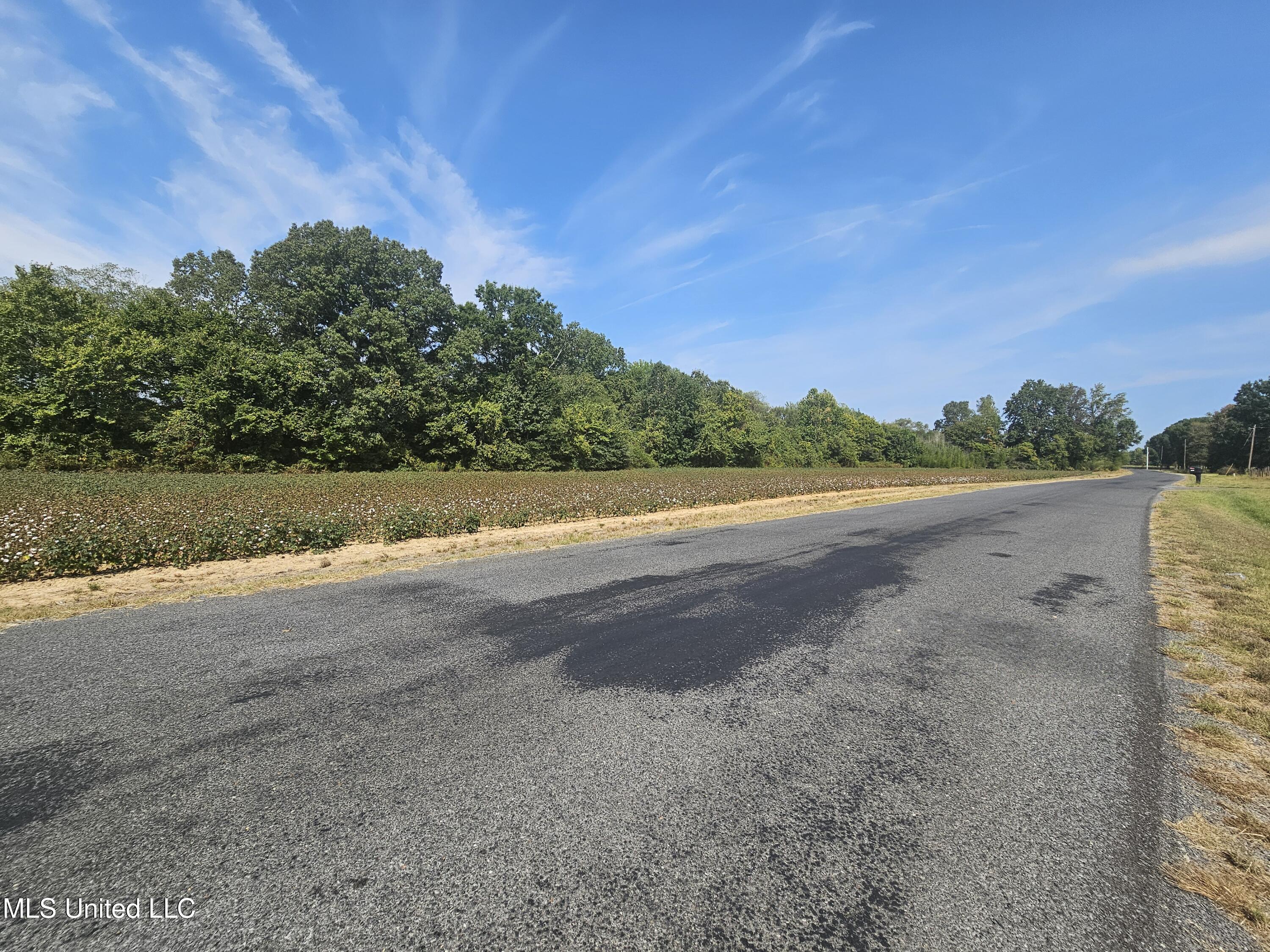 3876 Bett-Thyatira Road Coldwater, MS 38618 - Photo 34 of 72 20250915_104853