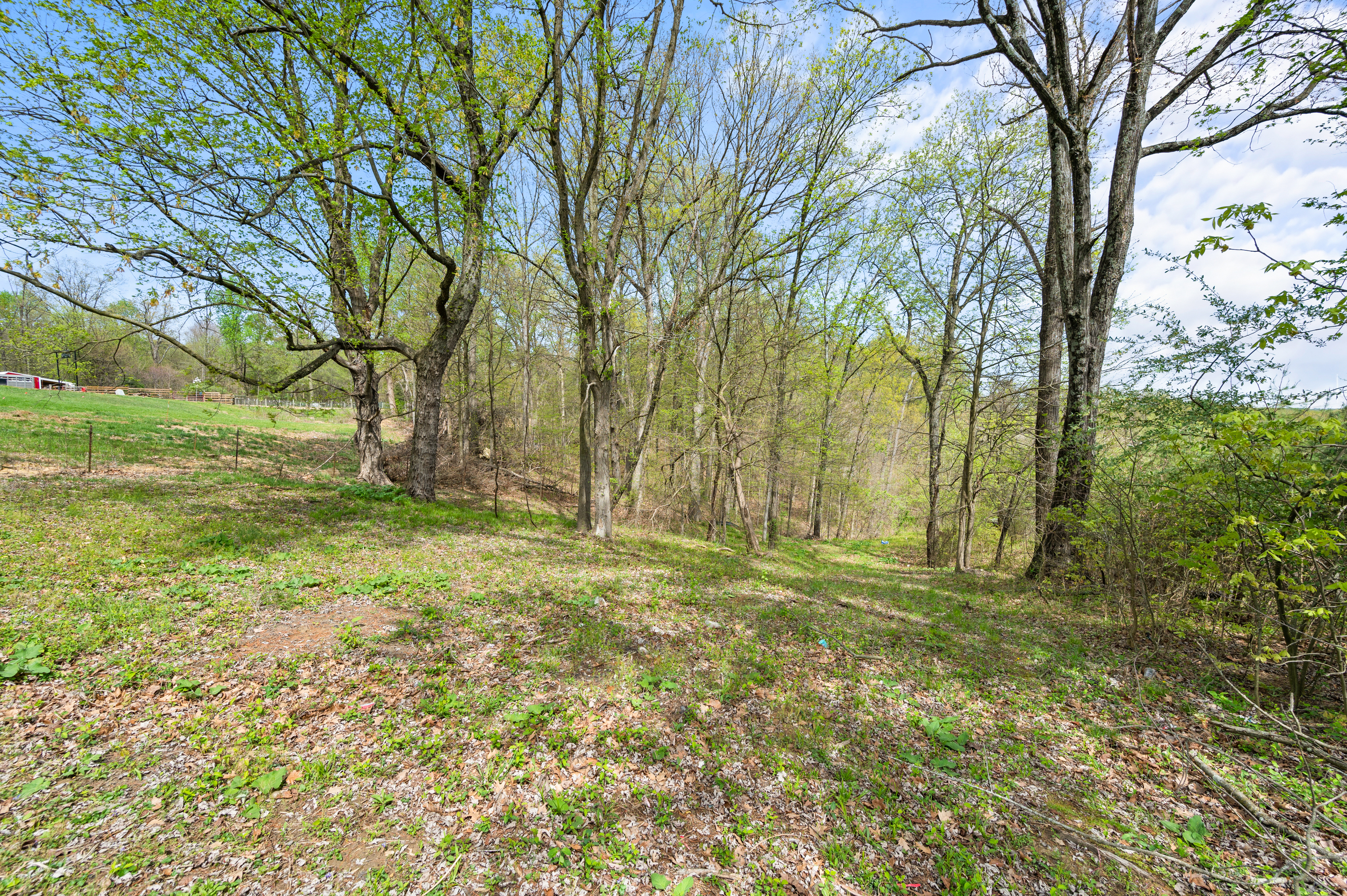463 Nelson Ridge Road Columbus, IN 47201 - Photo 48 of 55