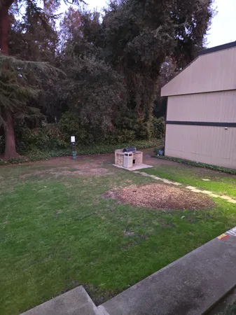 a view of backyard with green space