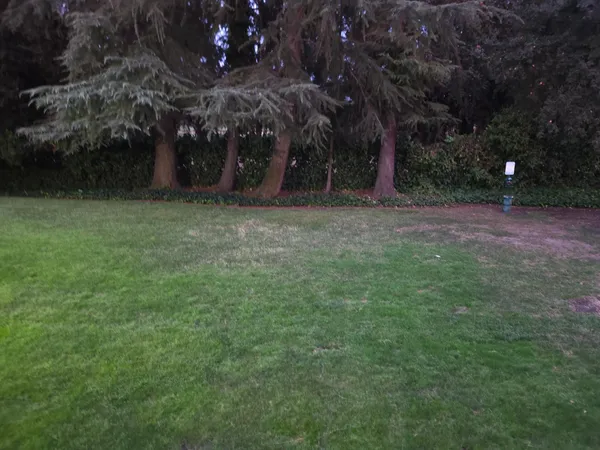 a view of outdoor space and yard