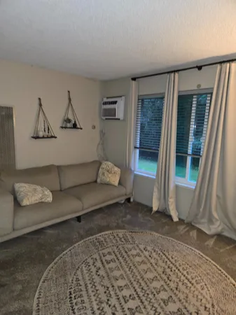 a living room with furniture and a rug