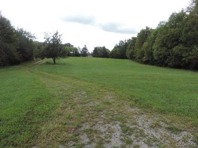 2299 Lockett Road Rice, VA 23966 - Photo 22 of 25 a view of a green field with a tree