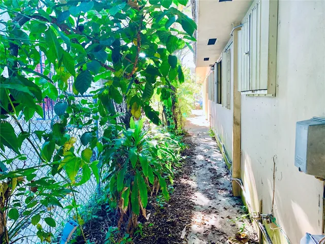 a view of a pathway of plants