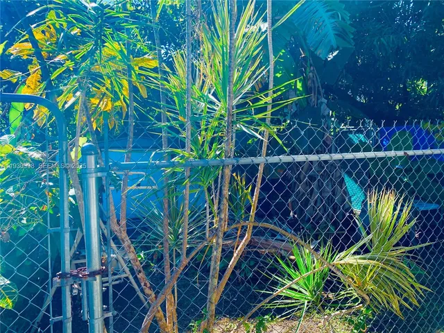 a view of a plant with a plant