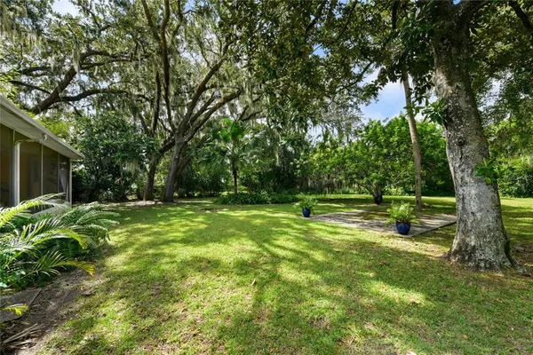 a view of a park with large trees