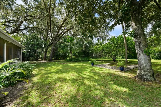 a view of a park with large trees