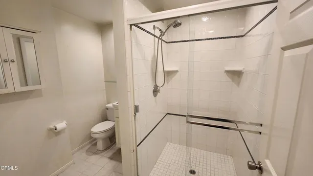 a bathroom with a shower and a toilet