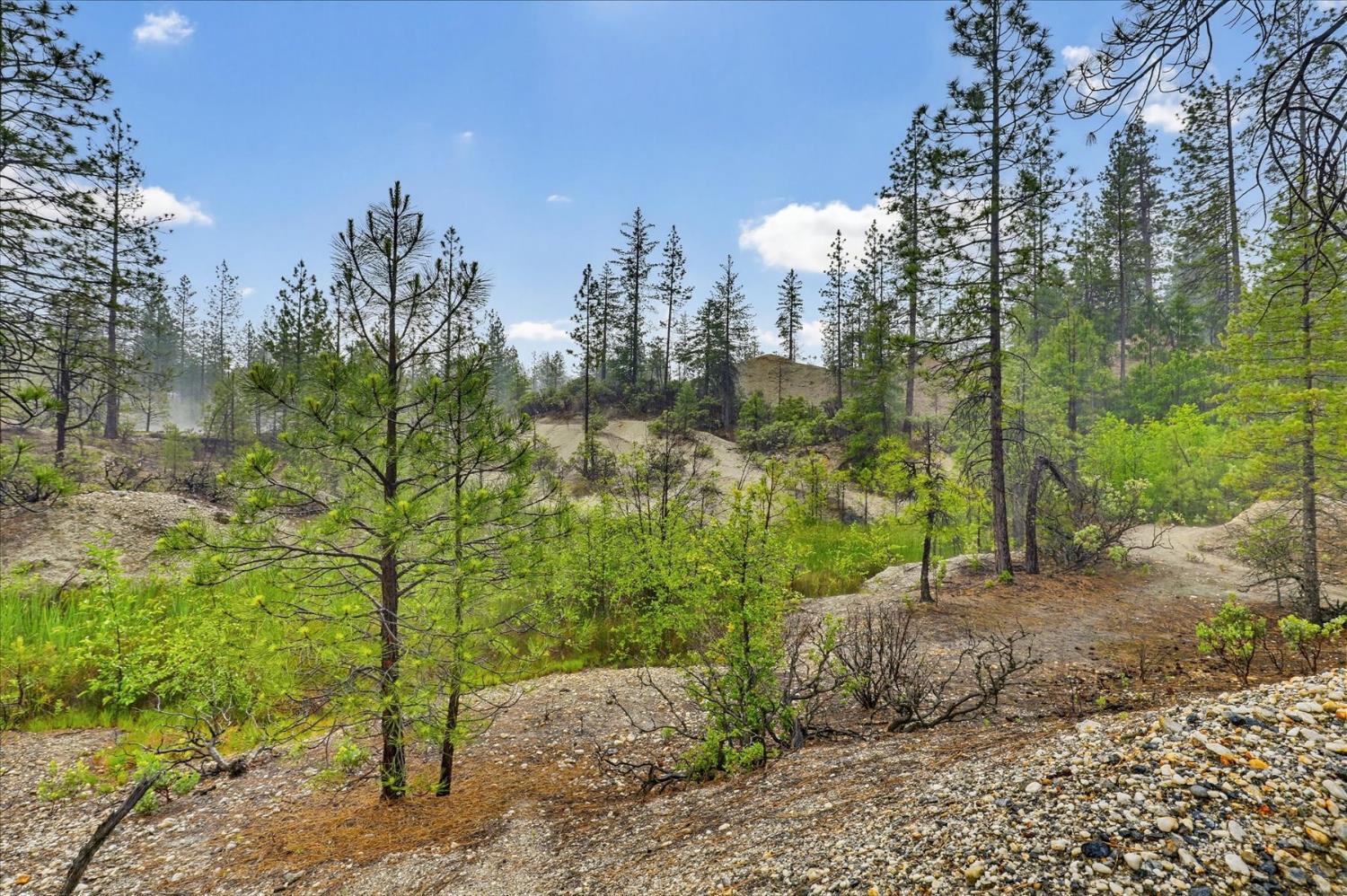 13751 Sailor Flat Road Nevada City, CA 95959 - Photo 27 of 49