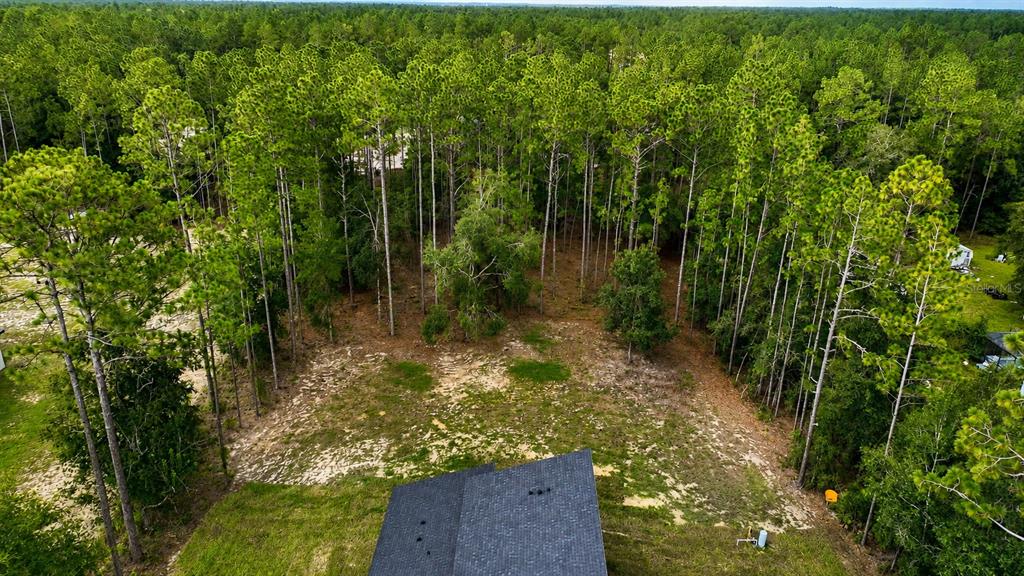 12352 Southwest 61st Place Road Ocala, FL 34481 - Photo 24 of 24 Gallery Image 24