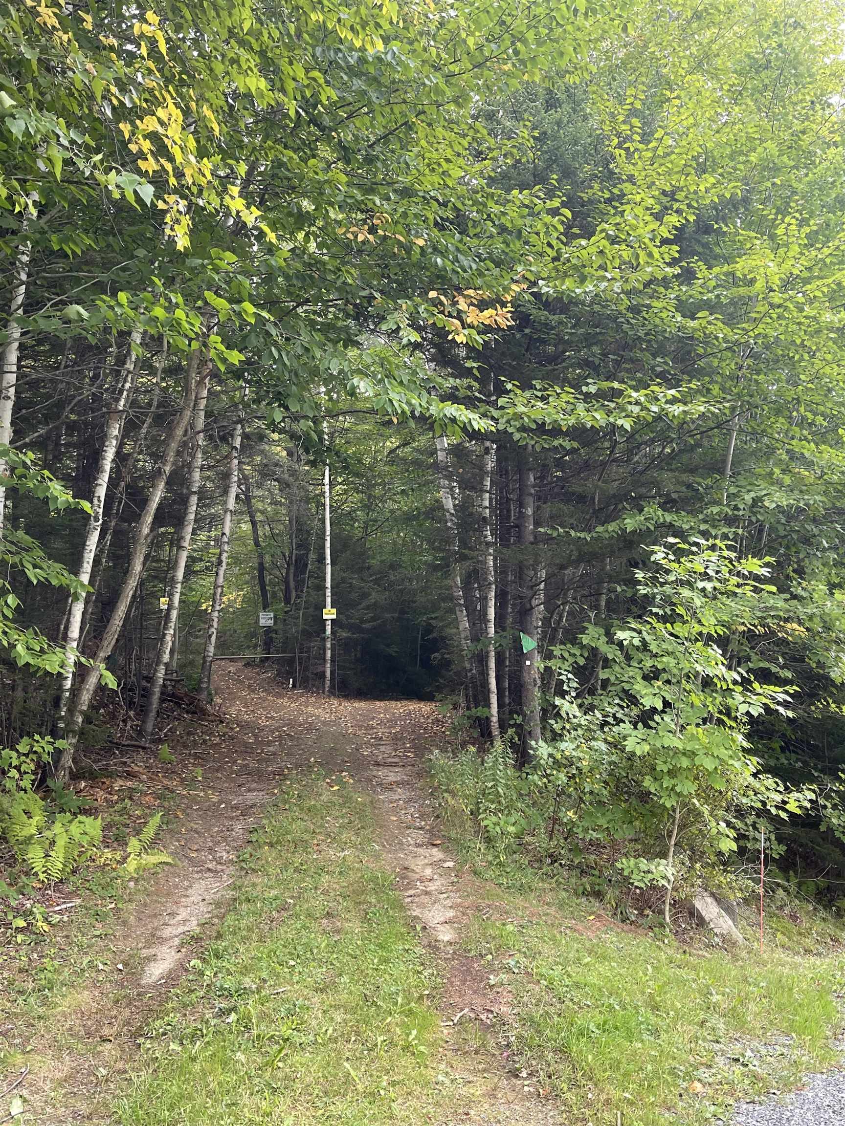 320 South Ryder Pond Road Whitingham, VT 05361 - Photo 23 of 24