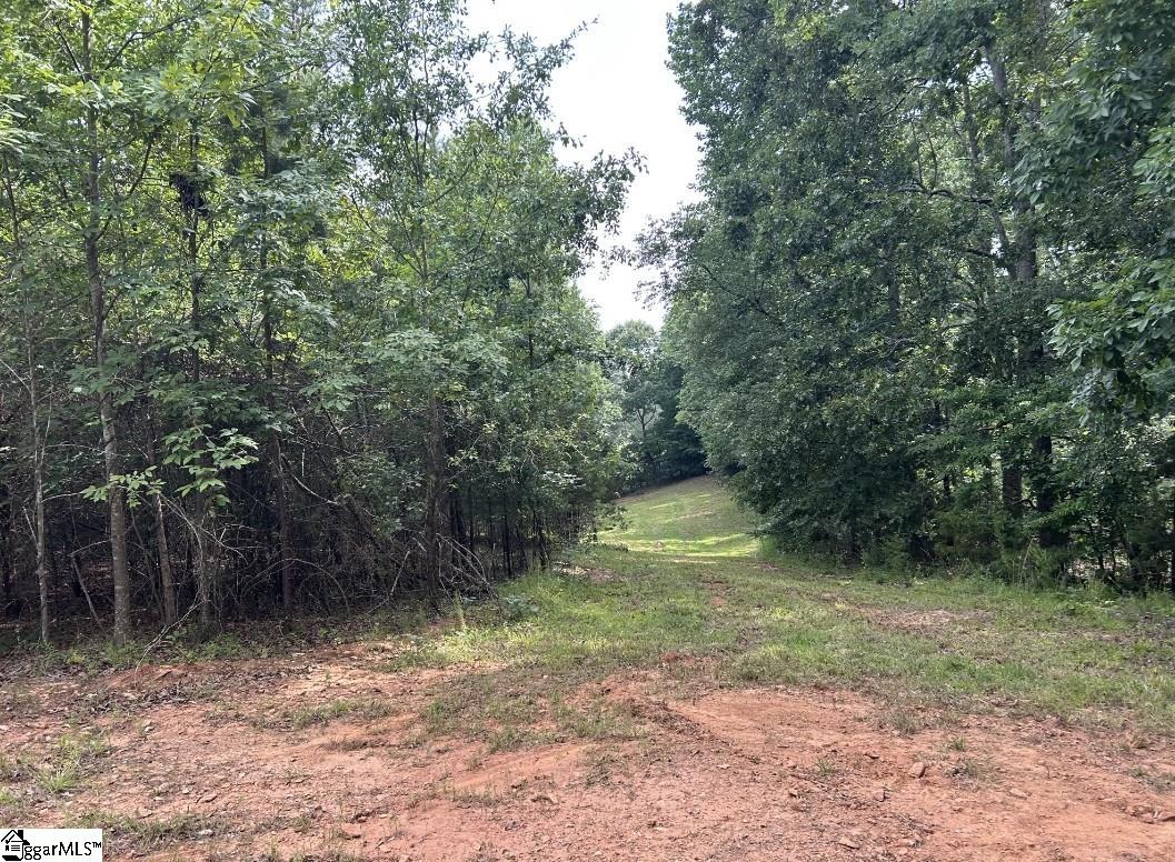 150 Williams Road Pelzer, SC 29669 - Photo 23 of 31