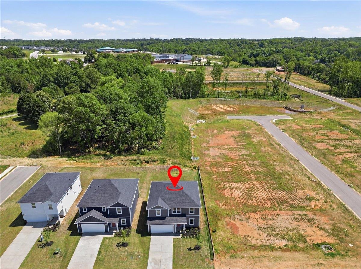 523 Hadlow Street Greer, SC 29651 - Photo 31 of 34