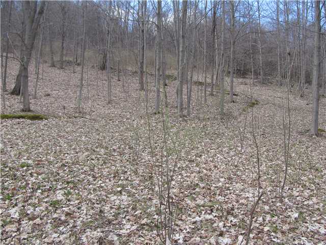 7420 Feather Street Springwater, NY 14512 - Photo 3 of 3 Land