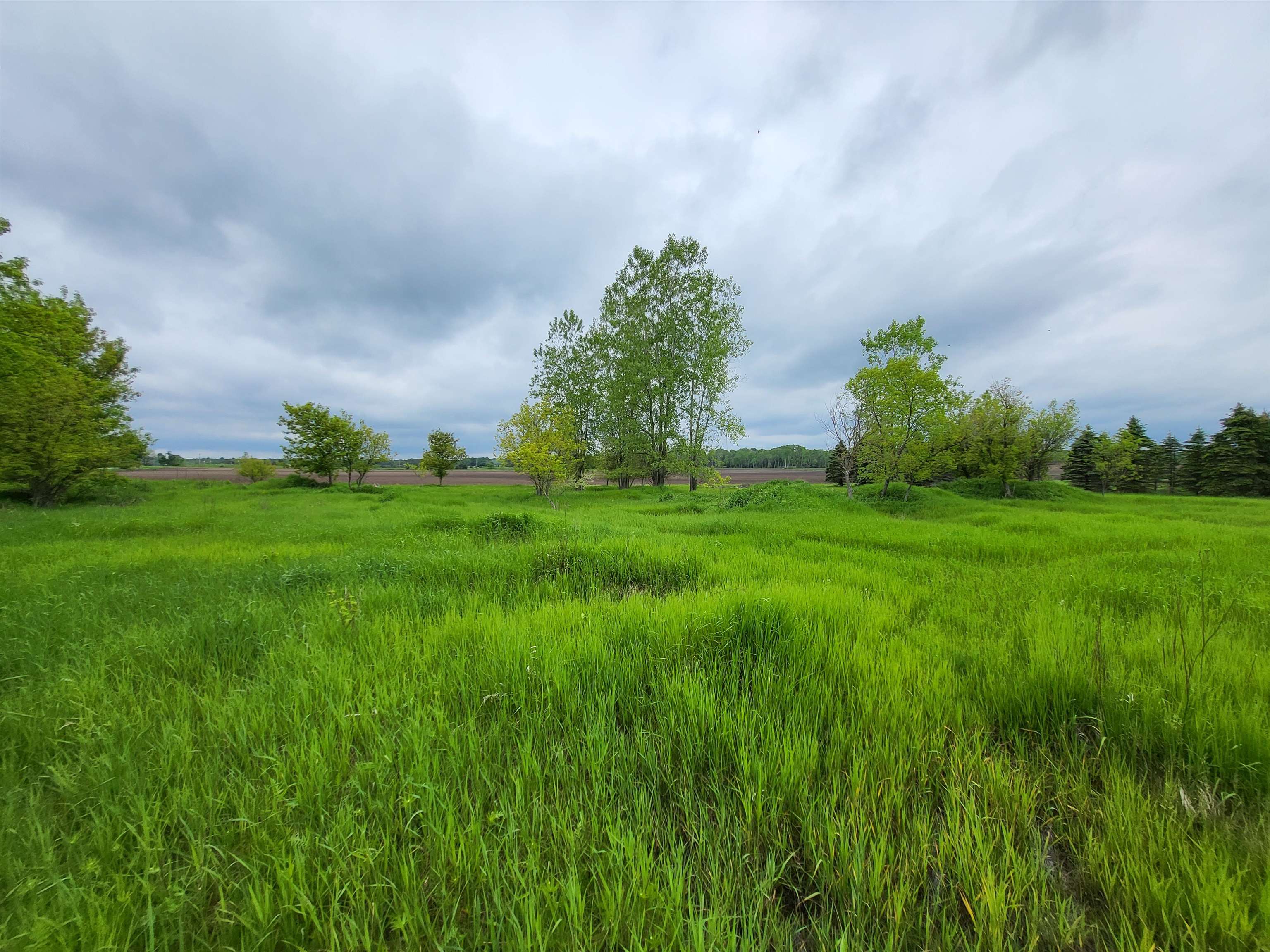 1763 Mill Road Harrisville, MI 48740 - Photo 44 of 45 Gallery Image 44