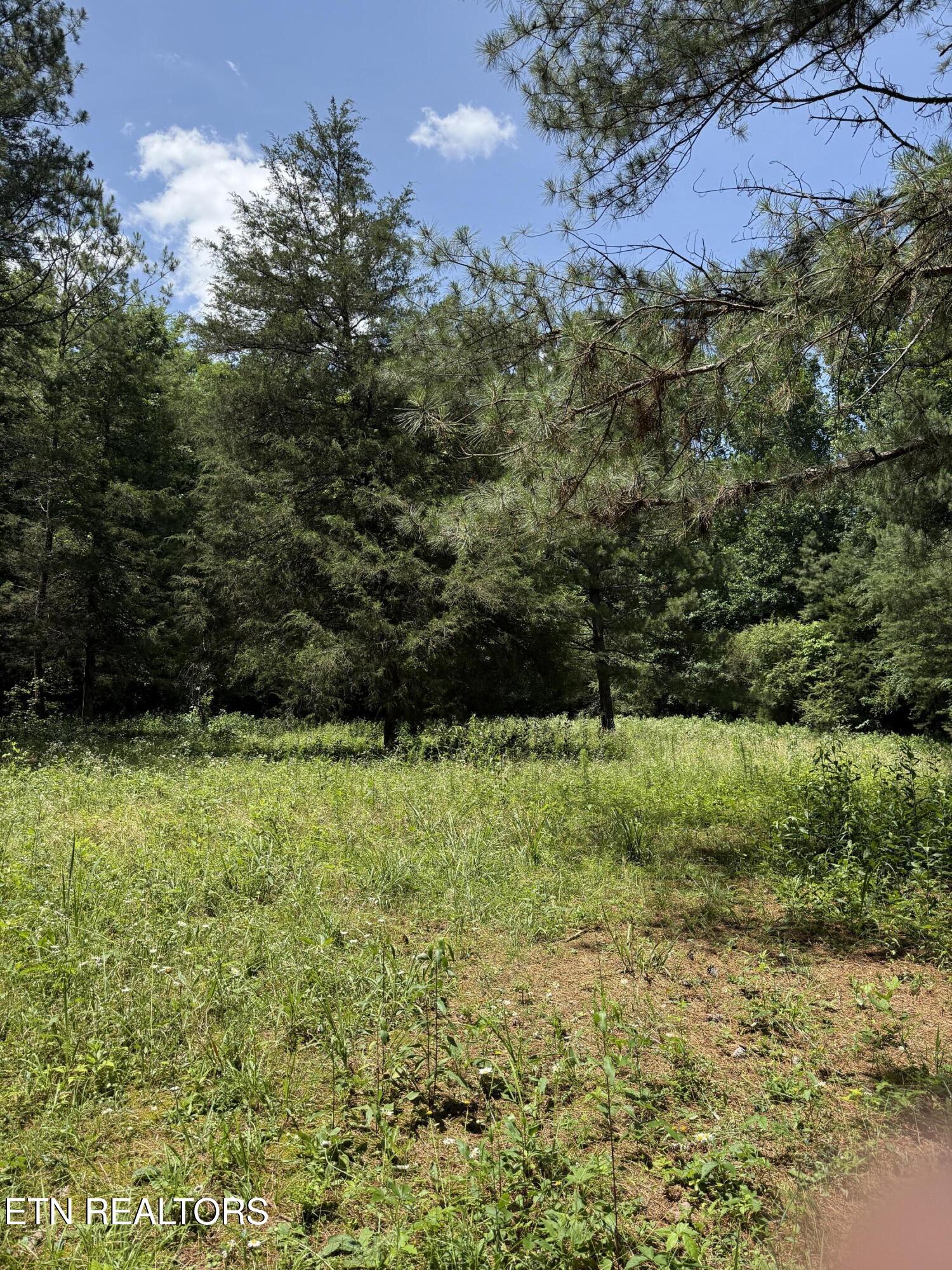 426 County Road 728 Riceville, TN 37370 - Photo 11 of 43 IMG_6489