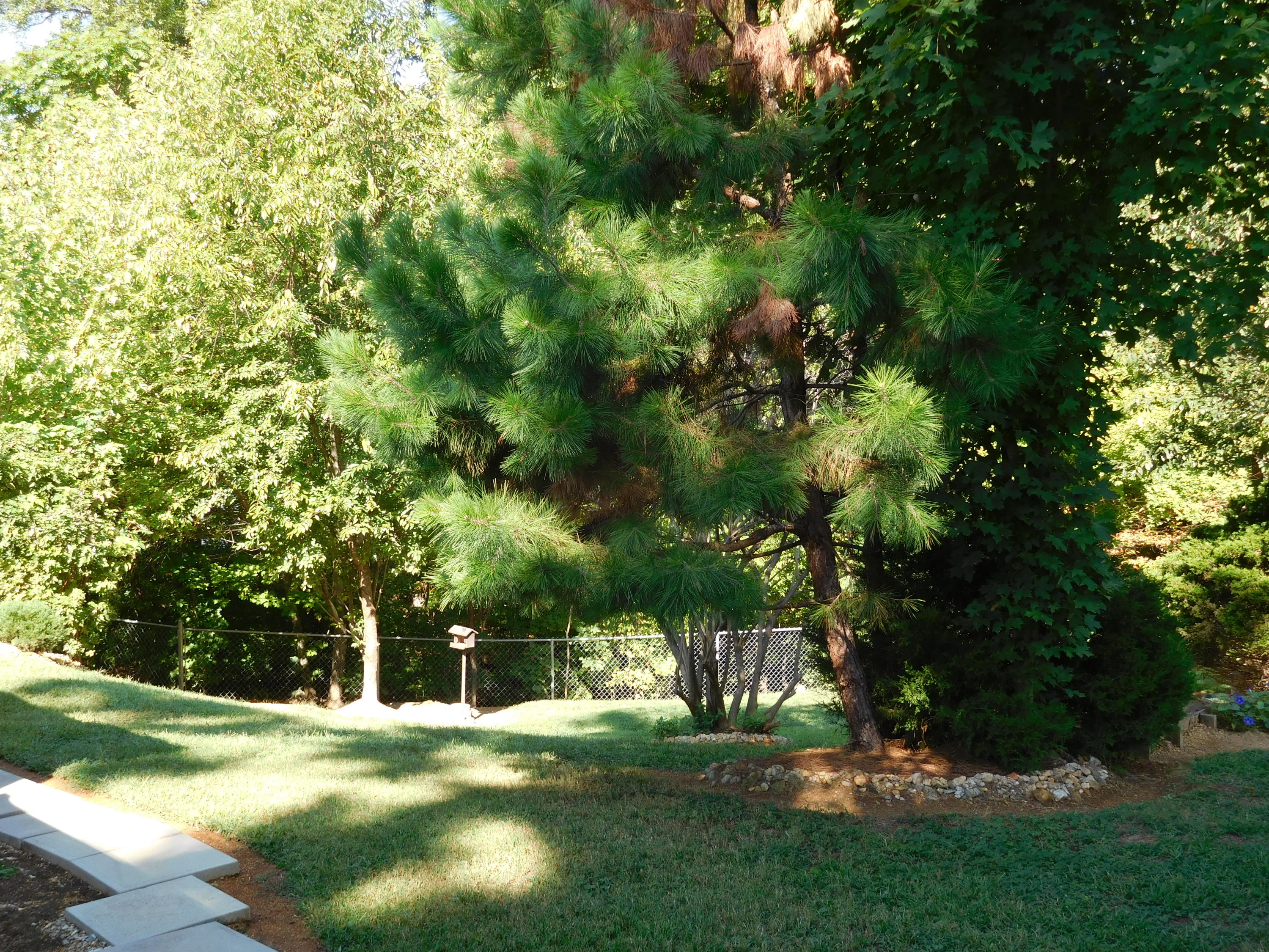 7529 Hunters Ridge Way Knoxville, TN 37914 - Photo 22 of 38 DSCN0475