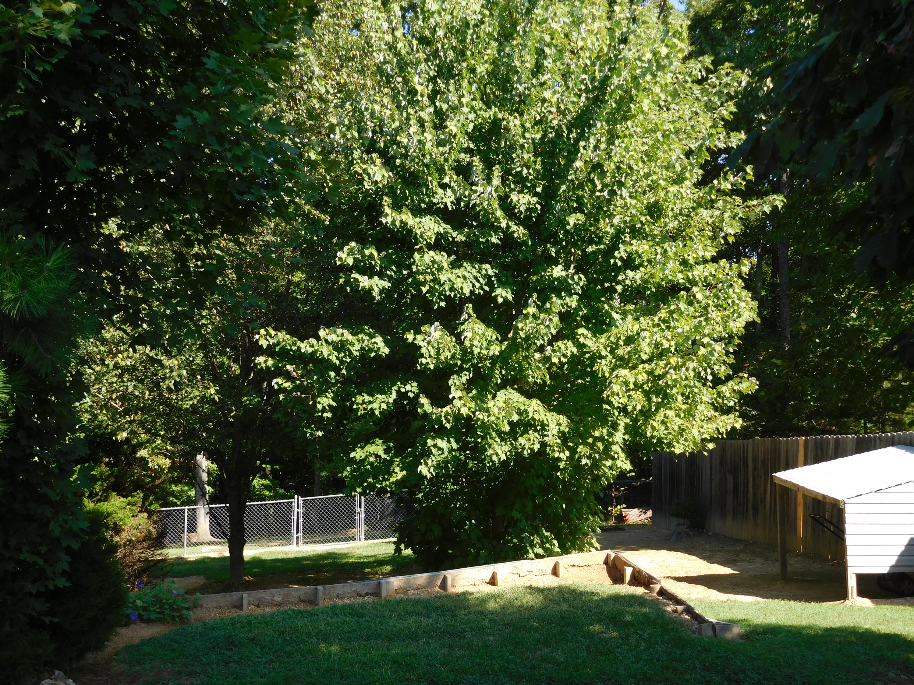 7529 Hunters Ridge Way Knoxville, TN 37914 - Photo 23 of 38 DSCN0476