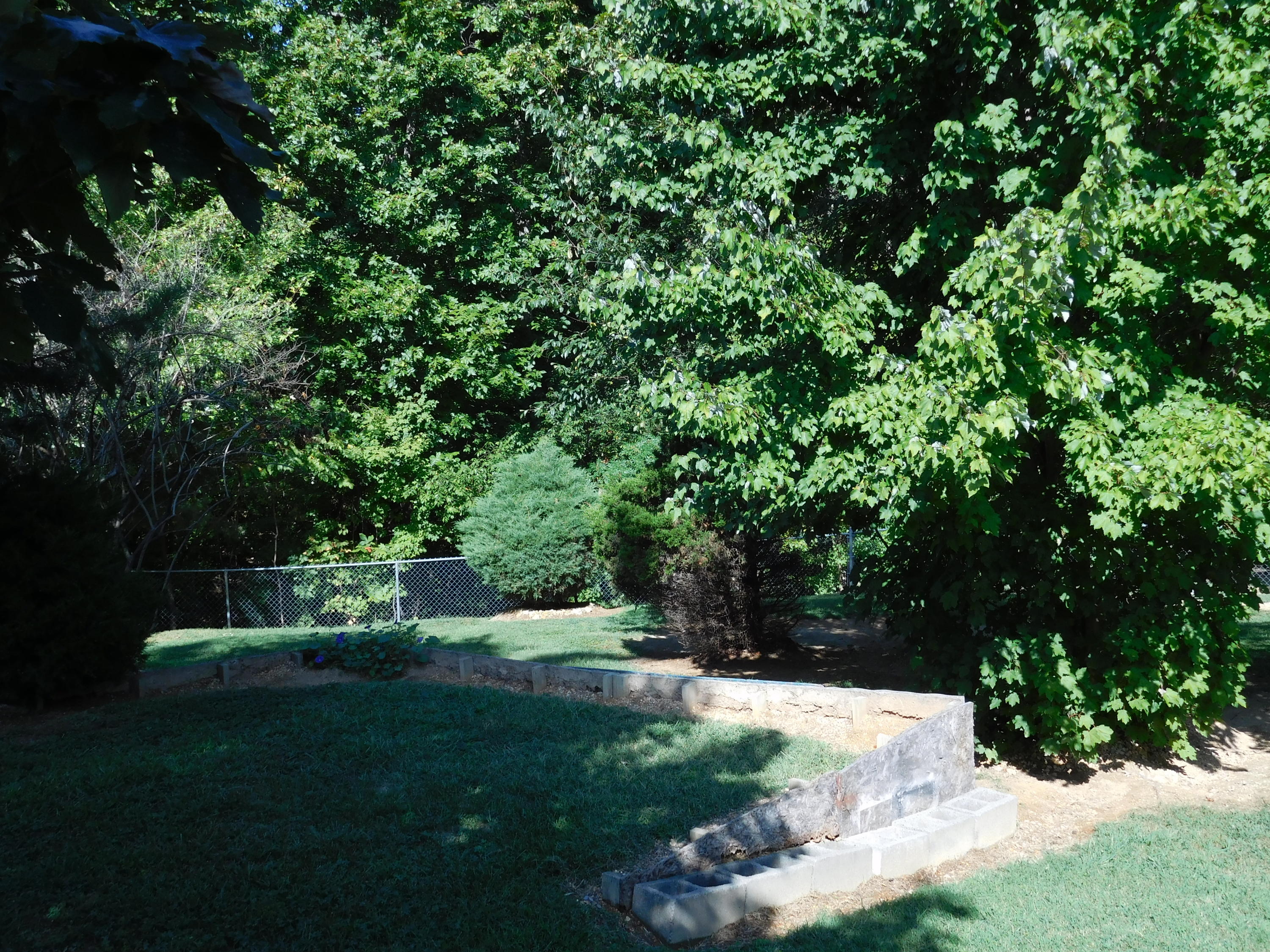 7529 Hunters Ridge Way Knoxville, TN 37914 - Photo 25 of 38 DSCN0478