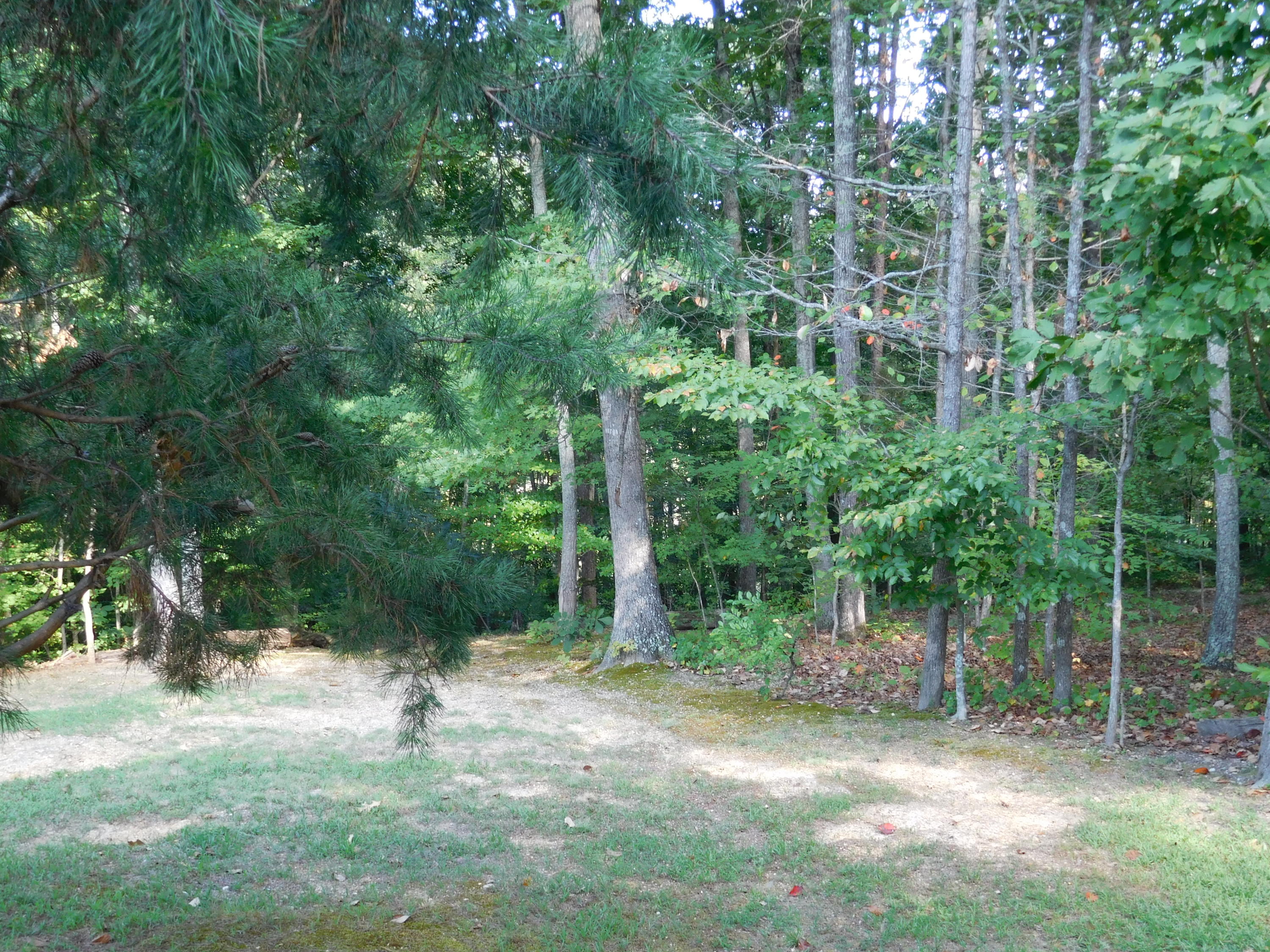 7529 Hunters Ridge Way Knoxville, TN 37914 - Photo 26 of 38 DSCN0479
