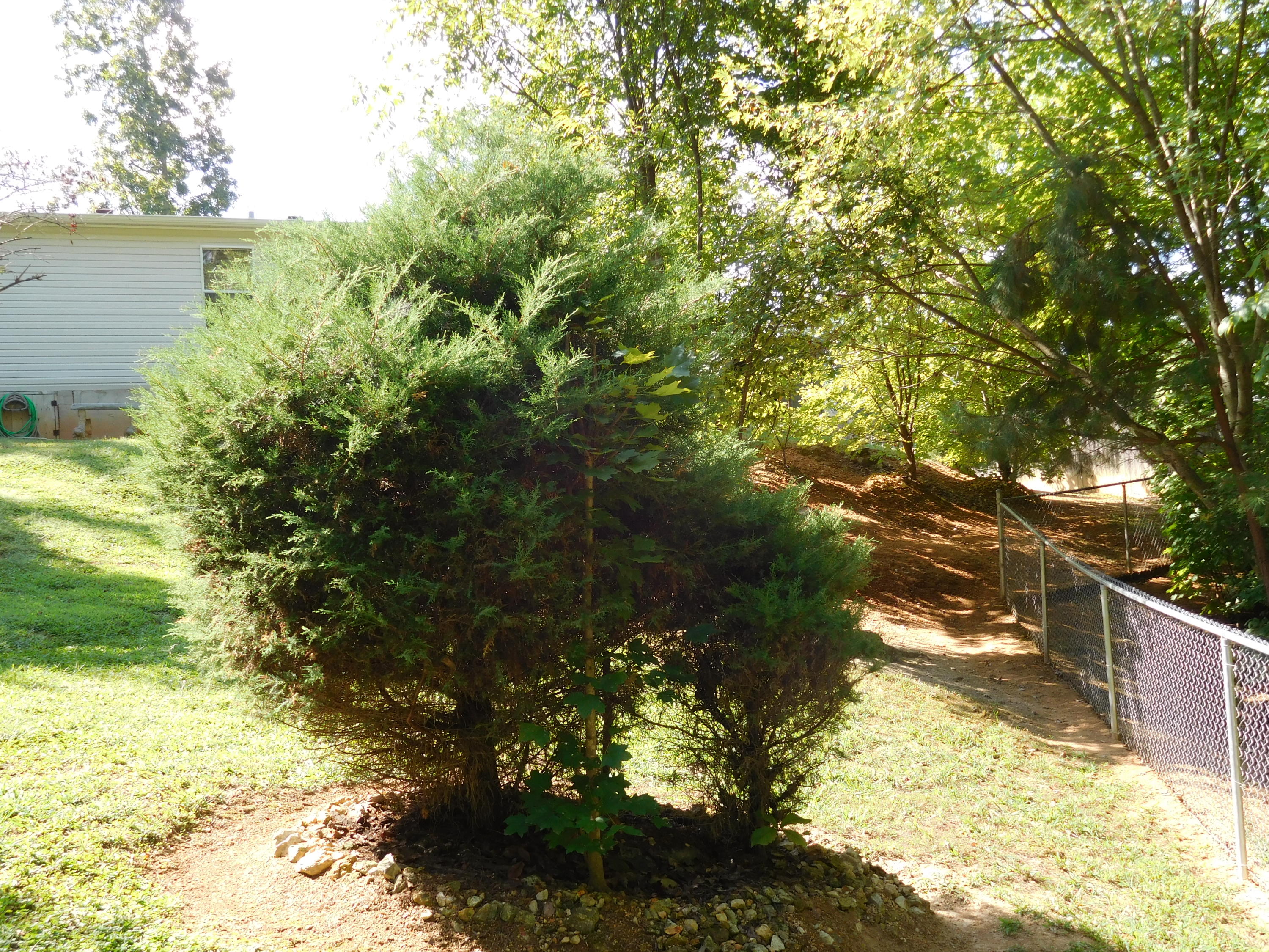 7529 Hunters Ridge Way Knoxville, TN 37914 - Photo 30 of 38 DSCN0483