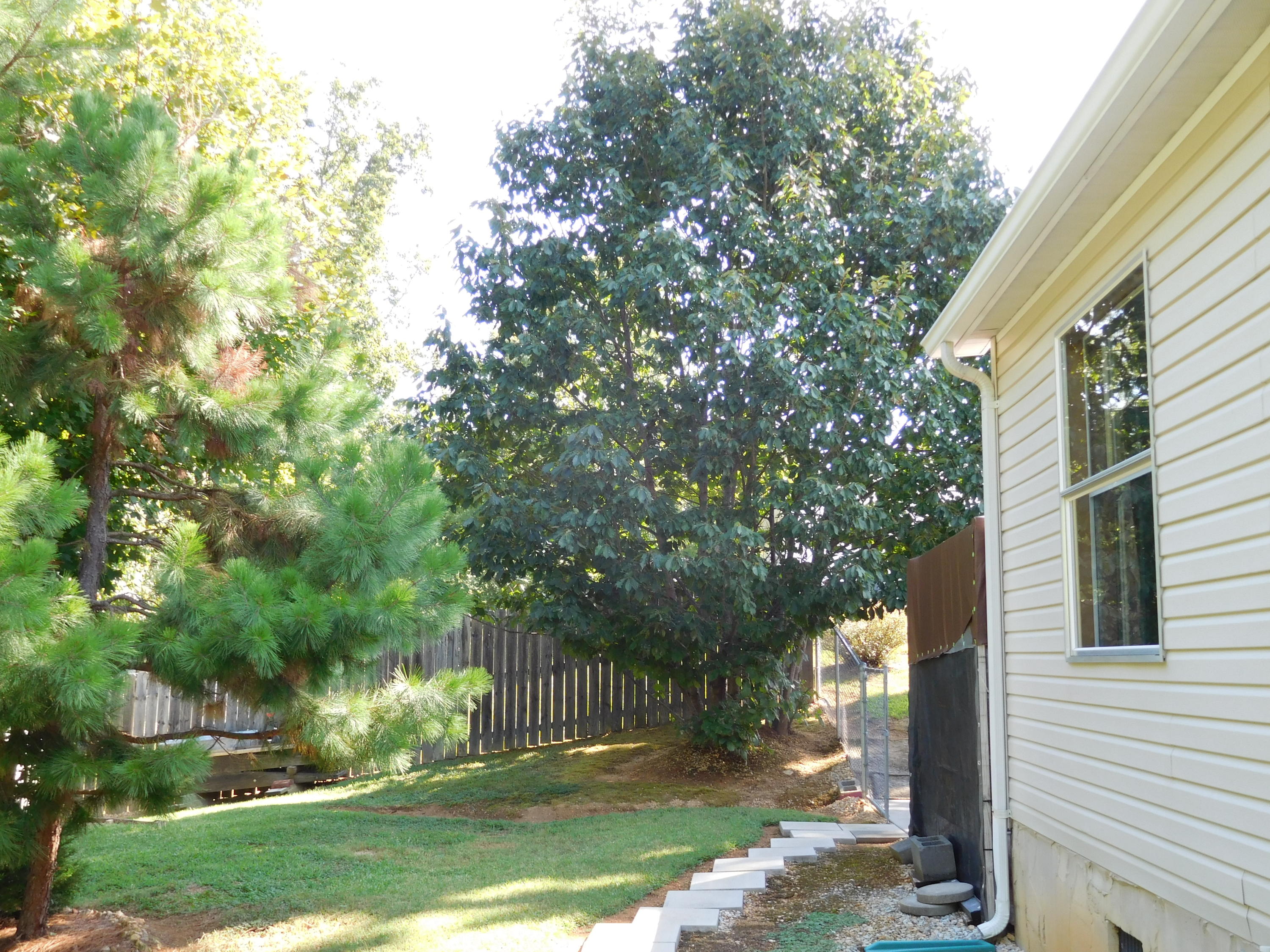 7529 Hunters Ridge Way Knoxville, TN 37914 - Photo 38 of 38 DSCN0491