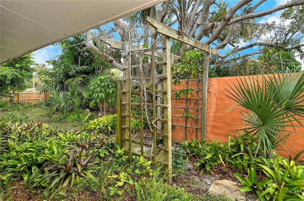 449 Redwood Road Venice, FL 34293 - Photo 24 of 40 a view of a garden with plants