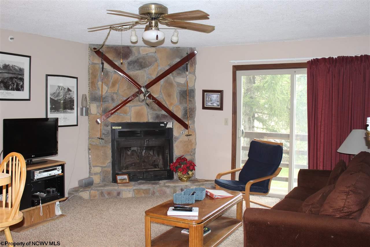 30 Herzwoods Road Davis, WV 26260 - Photo 2 of 11 Gallery Image 2