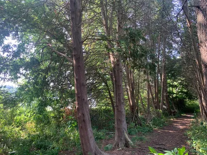 $629,203 | Lt19 Arbor Ridge Drive, Delavan, WI 53115