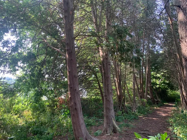 $629,203 | Lt19 Arbor Ridge Drive, Delavan, WI 53115