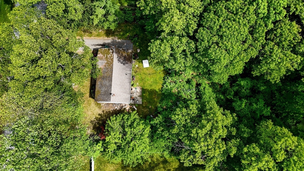 19 Porter Street Billerica, MA 01821 - Photo 11 of 23 a view of a garden with a tree