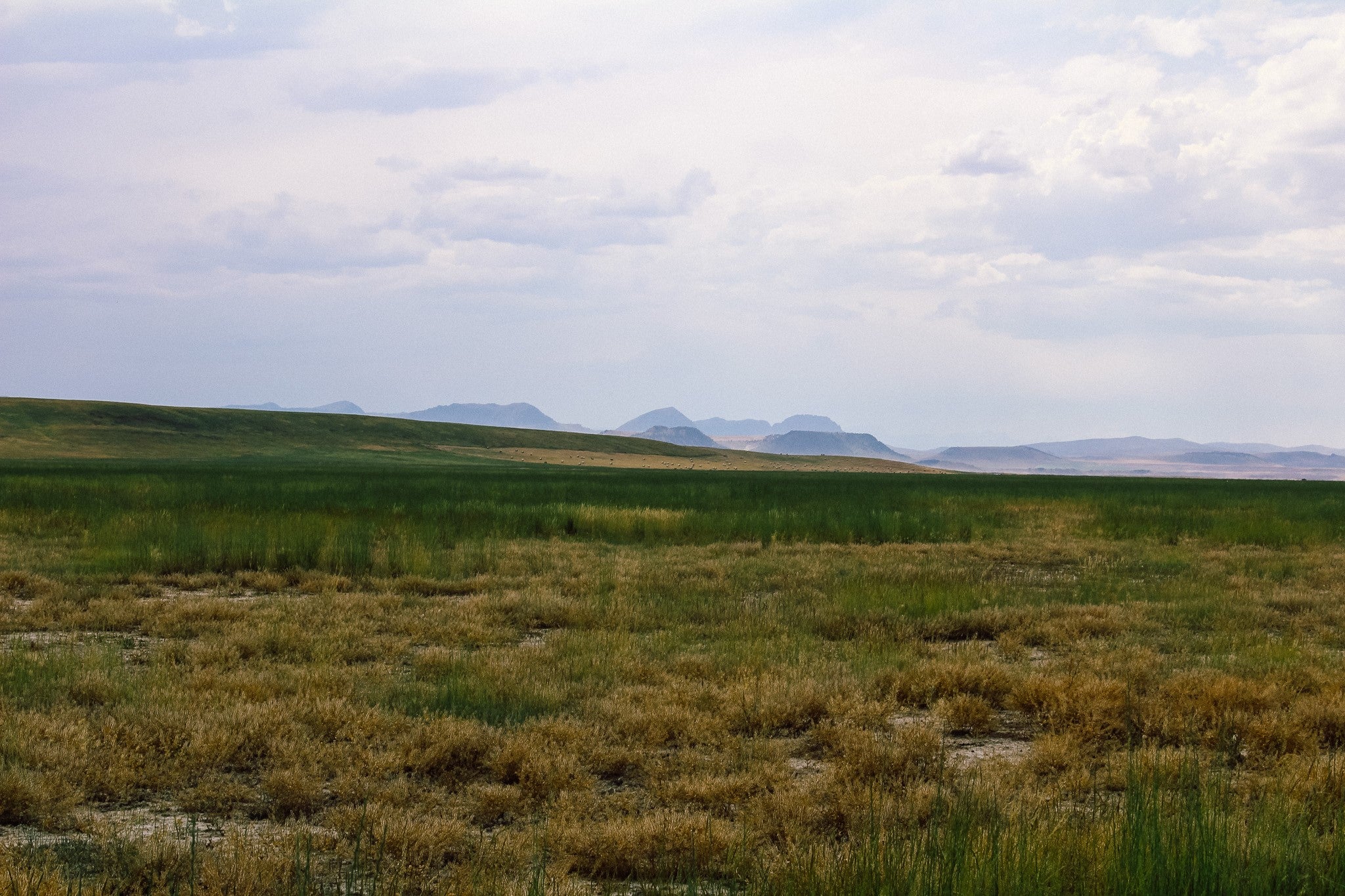 Little Little Muddy Creek Ranch Cascade, MT 59421 - Photo 11 of 41 Gallery Image 11