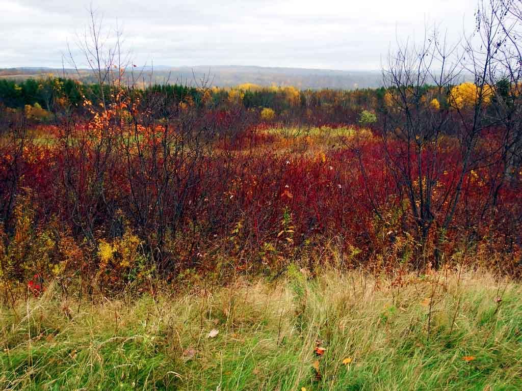 Lot 16 Rte 11 Patten, ME 04765 - Photo 24 of 32 patten-me-land-zannini-12
