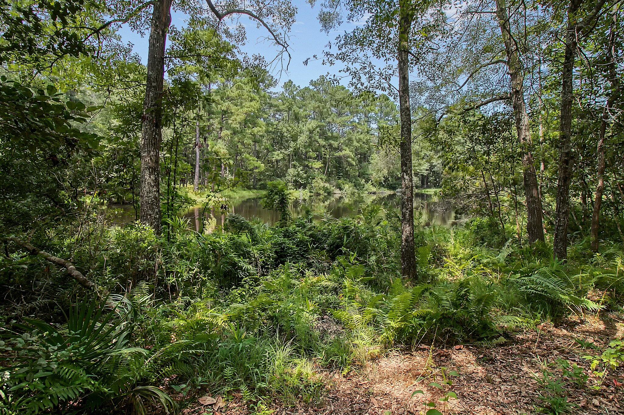 36 Middleton Oaks Road Charleston, SC 29414 - Photo 47 of 59 4-web-or-mls-CREM_36 Middleton Oaks_043
