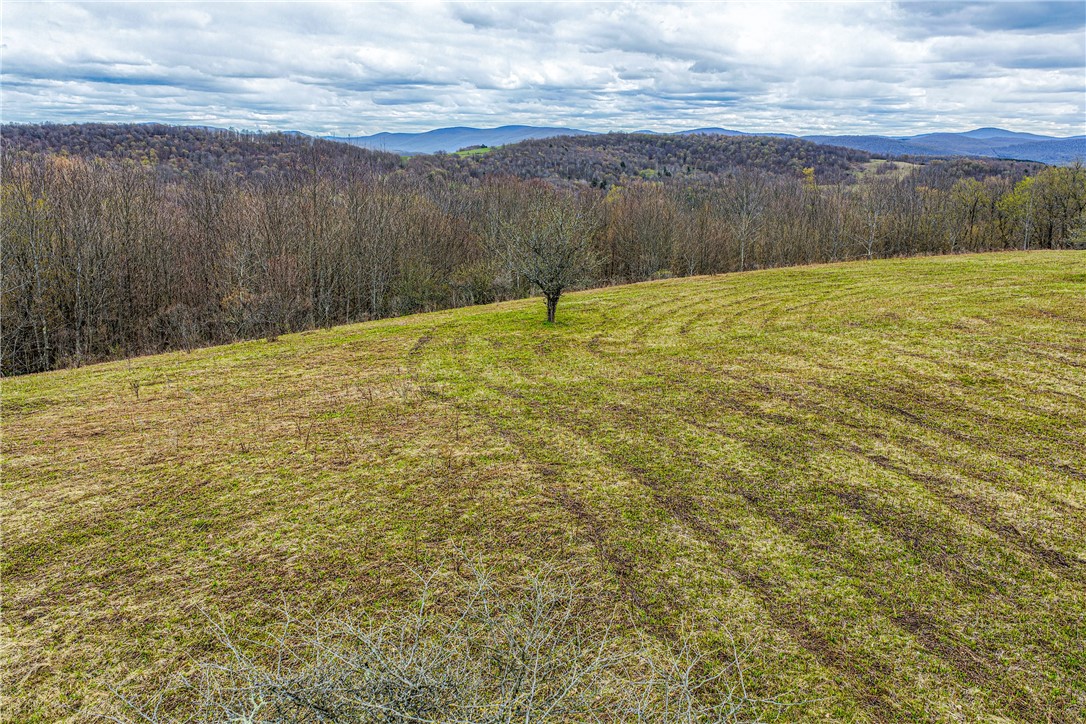 Lot 3 Brownell Road Bloomville, NY 13739 - Photo 34 of 35