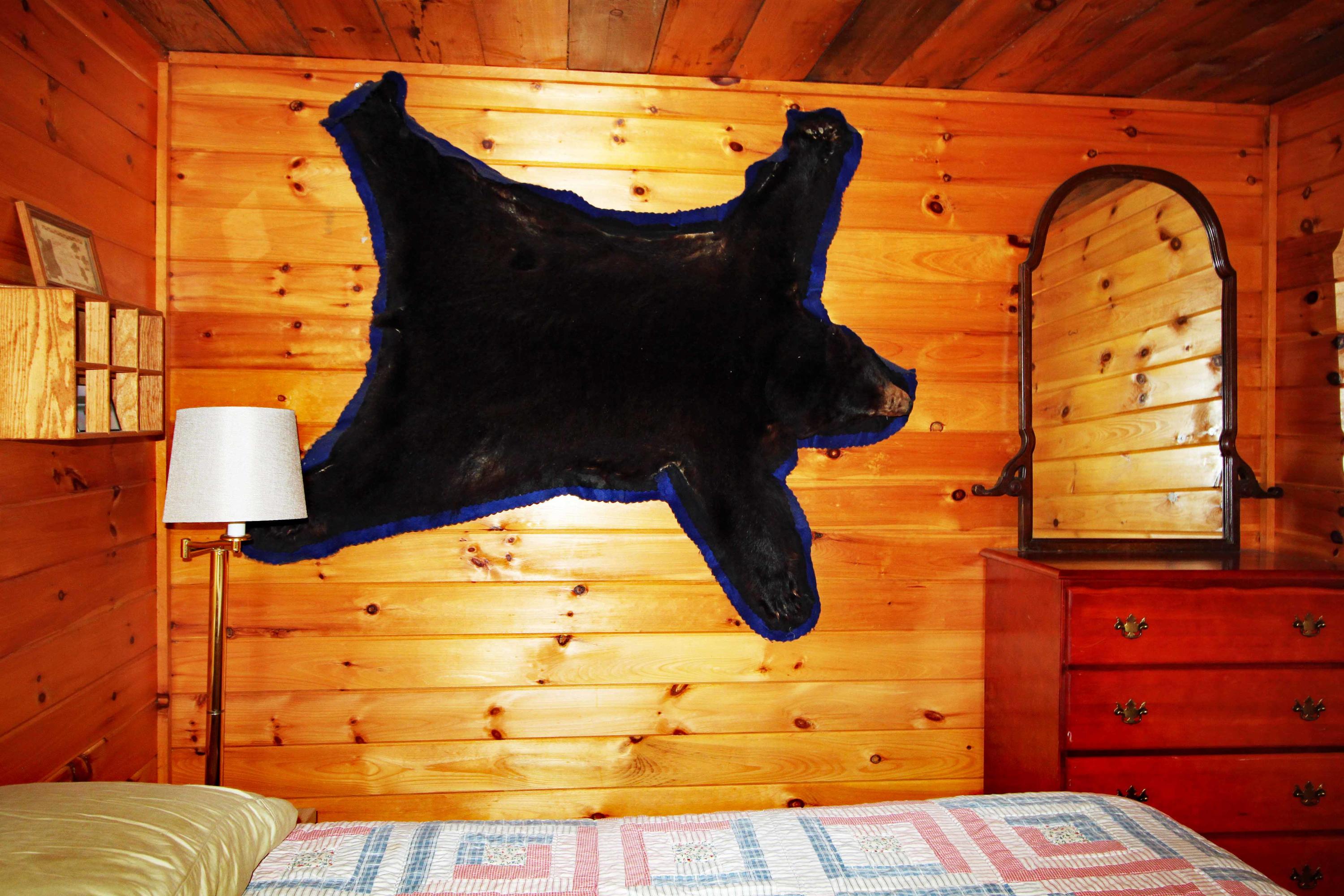129 Carpenter Point Road Livermore, ME 04253 - Photo 22 of 40 IMG_0719