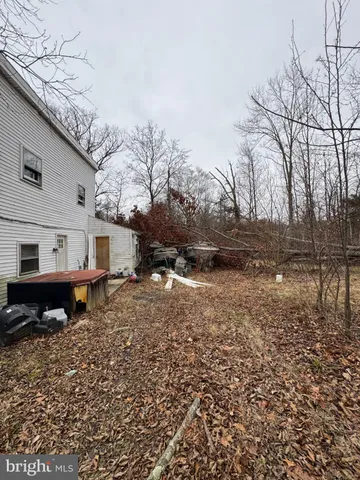 a view of a backyard with a large tree