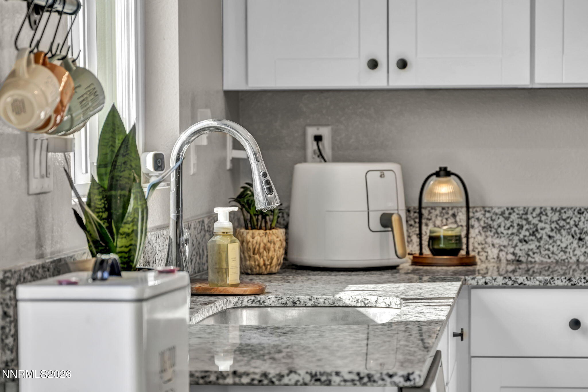 8854 Finnsech Drive Reno, NV 89506 - Photo 34 of 62 37-web-or-mls-8854-finnsech-dr