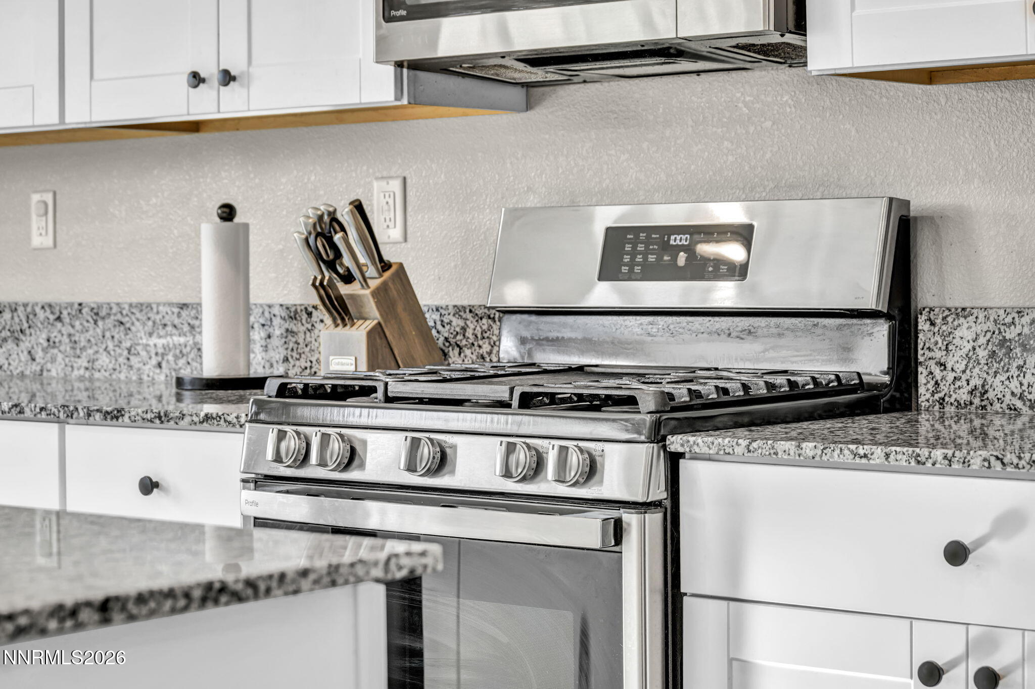 8854 Finnsech Drive Reno, NV 89506 - Photo 35 of 62 38-web-or-mls-8854-finnsech-dr