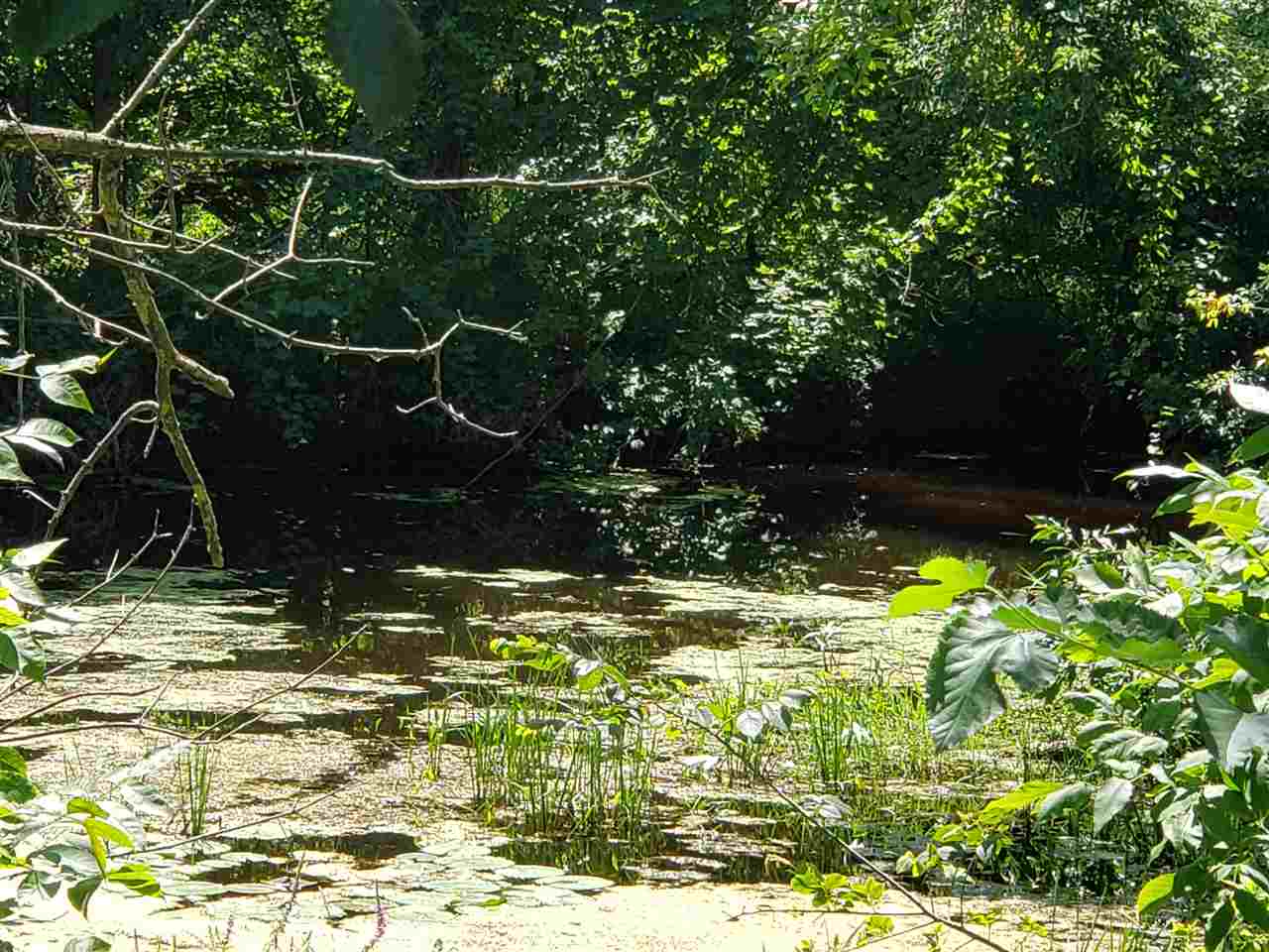 2366 East Chip Road Kawkawlin, MI 48631 - Photo 20 of 28