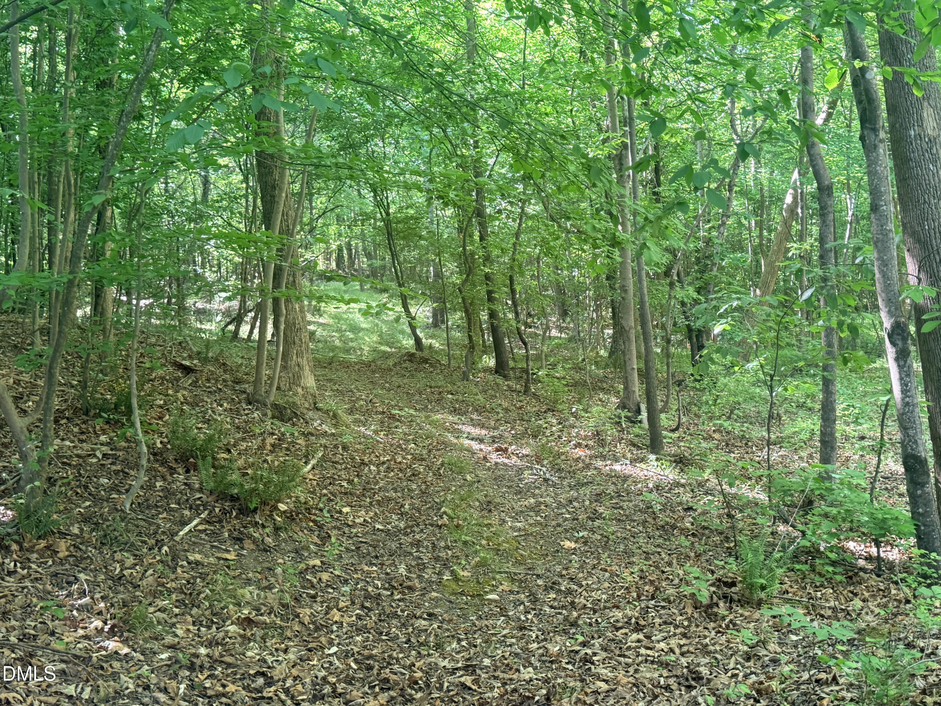 327 Shady Oak Road Roxboro, NC 27574 - Photo 58 of 62 a big yard with lots of green space and trees