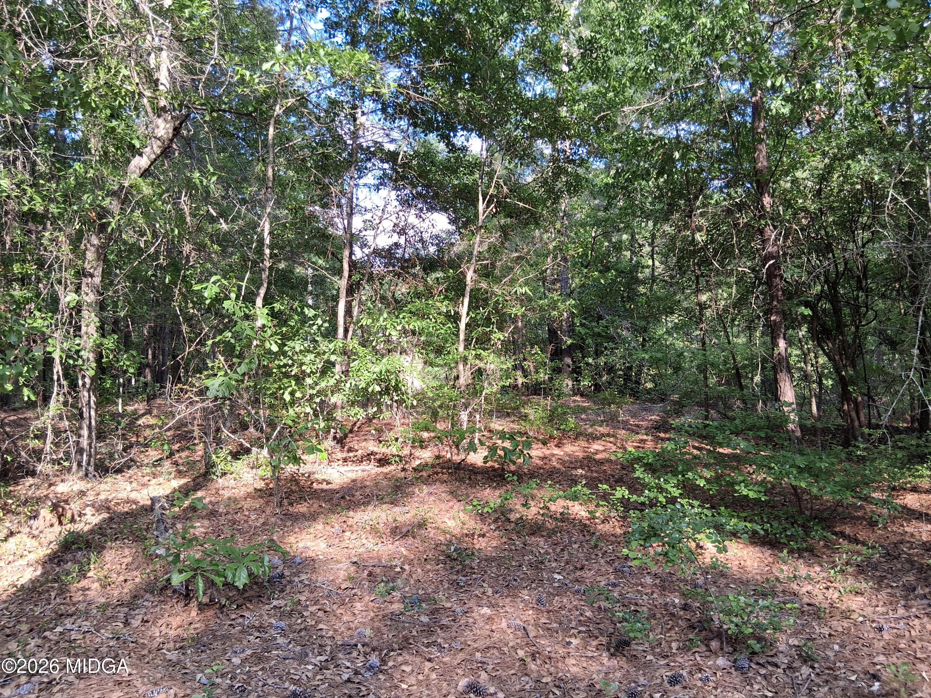6361 Britt Road Macon, GA 31216 - Photo 8 of 9 1000015369