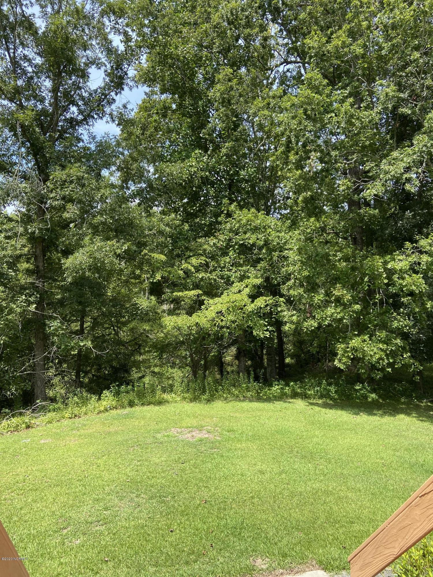 118 Richardson Road New Bern, NC 28562 - Photo 10 of 25 Private back yard