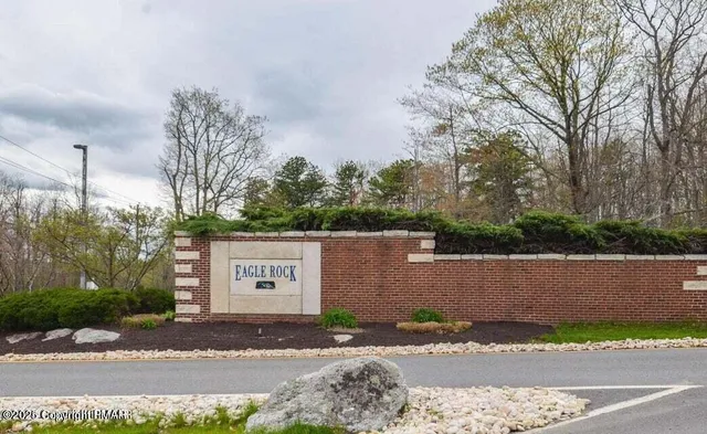 a view of a street with a large tree