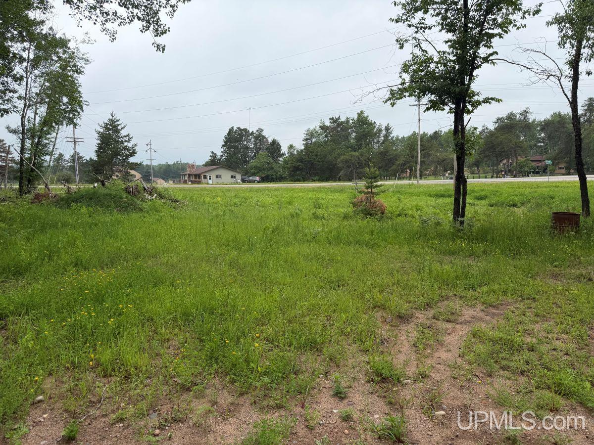 Tbd Bellagomba Road Iron Mountain, MI 49801 - Photo 5 of 6