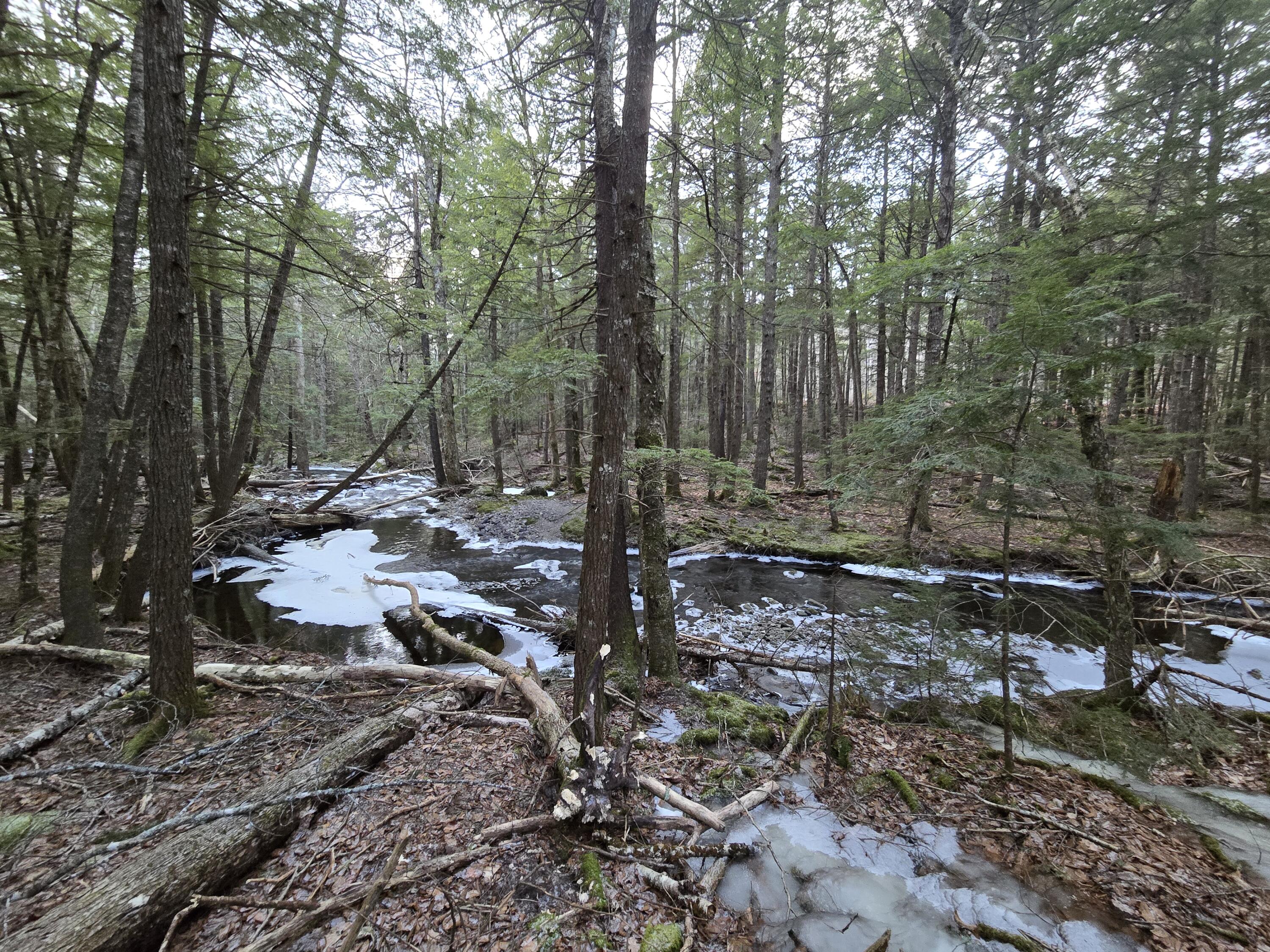 58 Beech Hill Pond Road Dedham, ME 04429 - Photo 30 of 33 20250107_153511