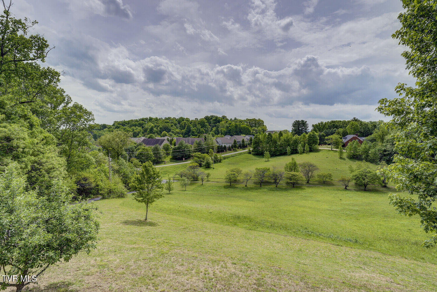 465 Bugaboo Springs Road Jonesborough, TN 37659 - Photo 49 of 75 Bugaboo-38