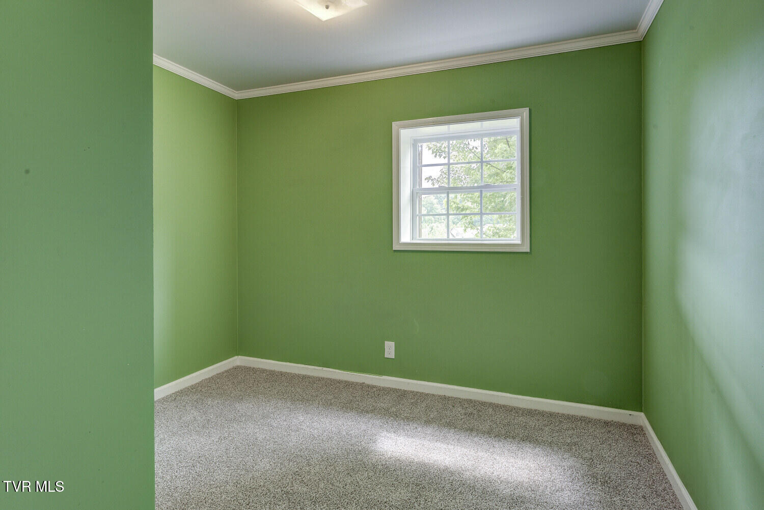 465 Bugaboo Springs Road Jonesborough, TN 37659 - Photo 62 of 75 Bugaboo-51