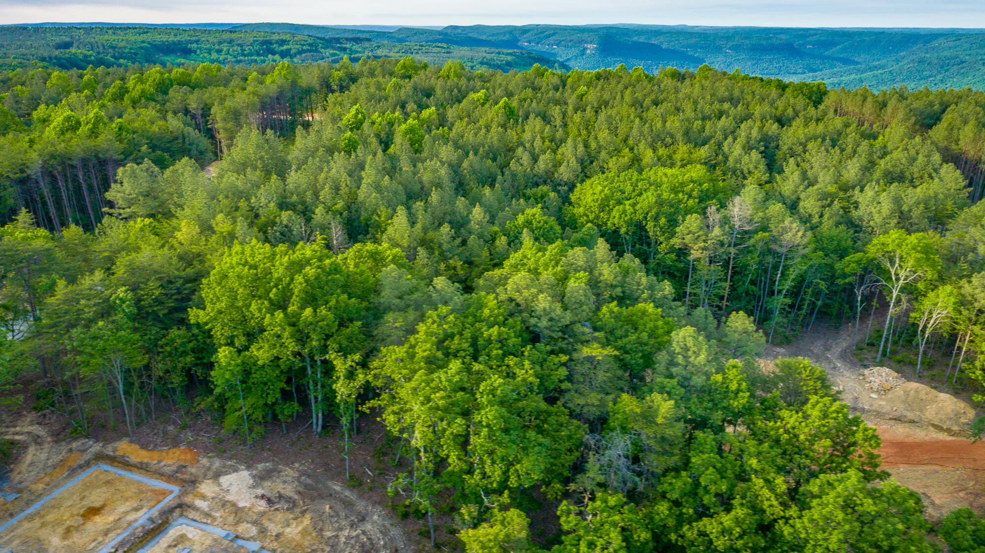 0 Cannon Way, Unit LOT 1317 Guild, TN 37340 - Photo 29 of 99 0 Cannon Way - Lot 1317 HD-13